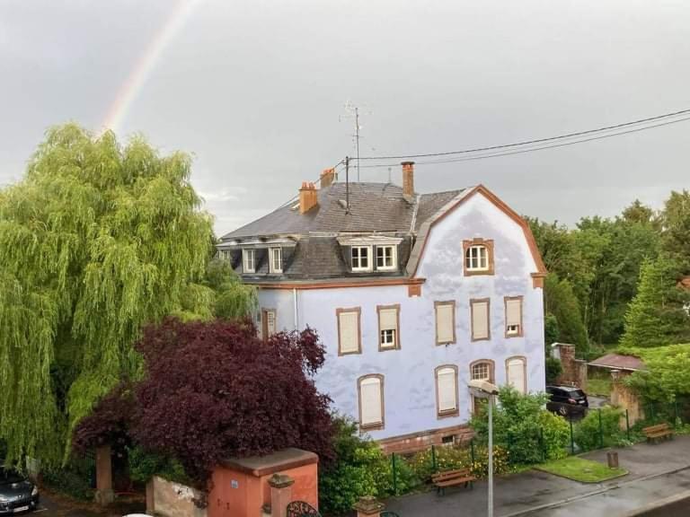 Le Tribunal Alsacien Bouxwiller (Bas-Rhin) Exterior foto